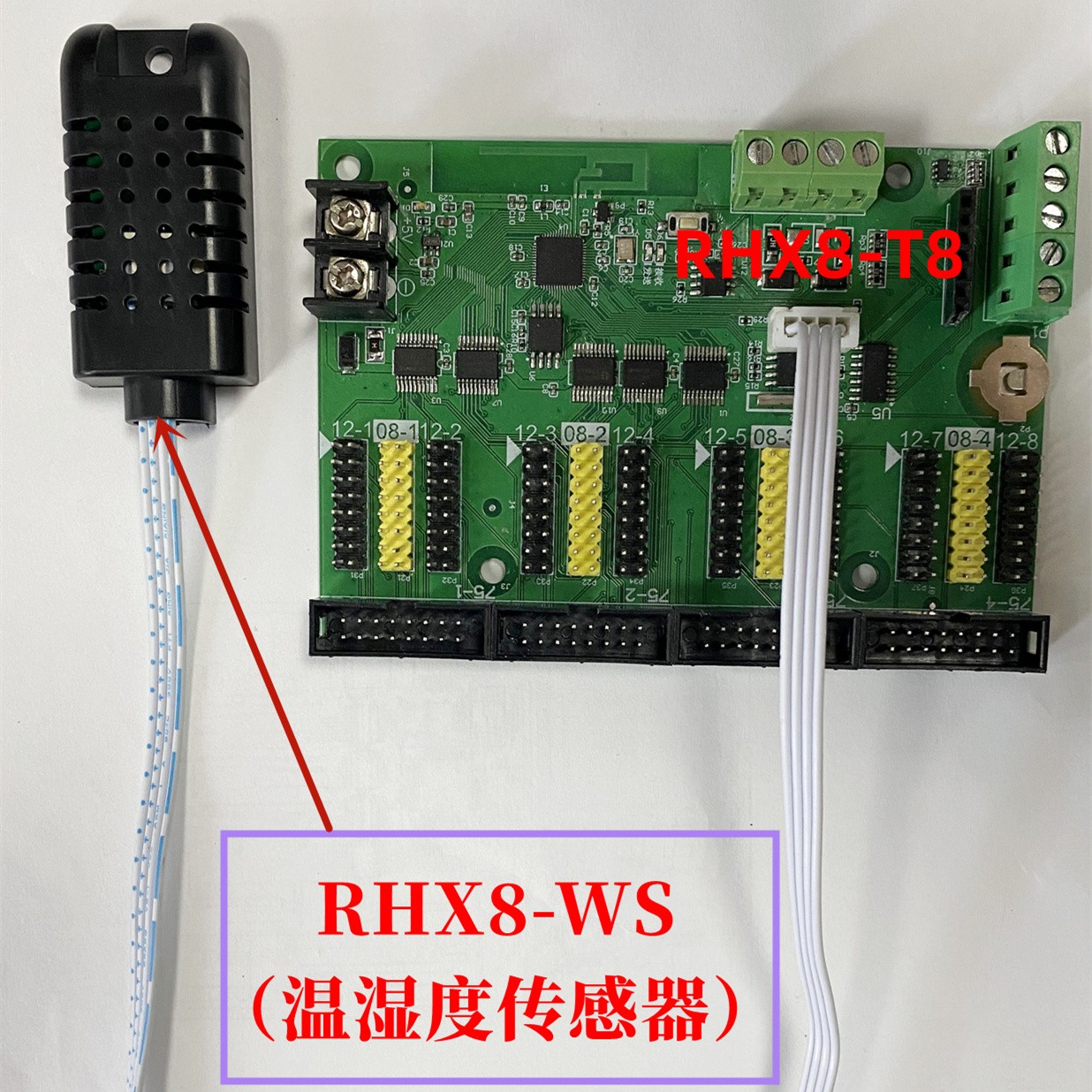 RHX8-WS（温湿度传感器）
